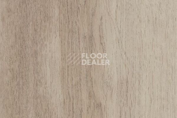 Виниловая плитка ПВХ FORBO Allura Flex Wood 60350FL1-60350FL5 white autumn oak фото 1 | FLOORDEALER